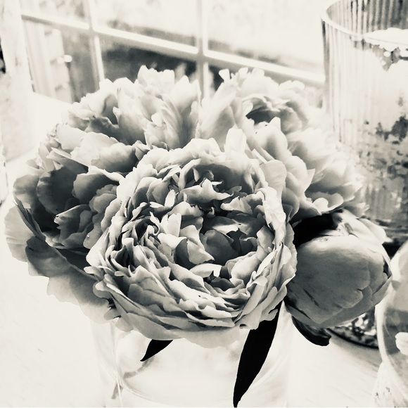 Meet your Posher, Andrea m - Picture 1 of 1